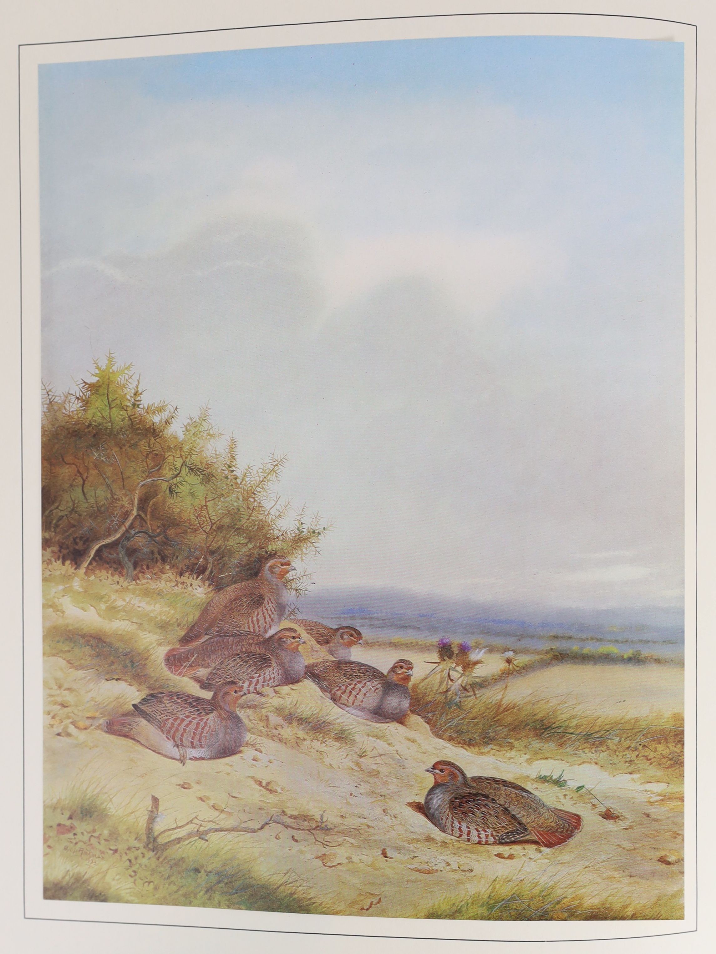 Rickman, Philip - A Selection of Bird Paintings and Sketches, one of 500 signed by the artist, folio, original half green morocco gilt, with mounted portrait and 31 mounted plates, Curpotten Ltd., London, 1979, in slip c